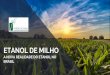 ETANOL DE MILHO - Piracicaba Engenhariapiracicabaengenharia.com.br/wp-content/uploads/2019/01/a... · 2020-02-12 · Uma usina de cana-de açúcar é ideal p/ integrar uma usina de