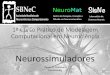 1º Curso Prático de Modelagem Computacional em Neurociênciasisne.org/wp-content/uploads/2017/04/renan.pdf · Referências •Gerstner W, Kistler WM, Naud R, Paninski L. Neuronal