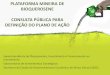 PLATAFORMA MINEIRA DE BIOQUEROSENE CONSULTA PÚBLICA … · 4 Prospectar parceiros para financiamento das atividades da cadeia produtiva da macaúba (parte agrícola e de beneficiamento)