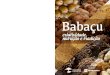 Babaçu: criatividade, nutrição e tradição...Ao apresentar receitas com Babaçu e seus derivados, Babaçu: criatividade, nutrição e tradição pretende divulgar o potencial da