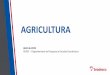 AGRICULTURA - Economia em Dia€¦ · DESEMPENHO DA AGRICULTURA o Soja o Ainda que as condições climáticas tenham se mostrado adversas, a expectativa é de uma safra volumosa,