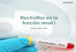 Electrolitos en la función renal I · ´Na+ ´K + ´ELECTROLITOS EN LA FUNCIÓN RENAL II ´Cl -´Ca 2+ ´HCO 3- ... ´Exceso relativo del agua corporal total respecto del Na+ corporal