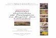 Embrapa Camarأ، Lantana camara/276 Caruru-de-espinho Amaranthus spinosus/276 ... de manual ilustrado