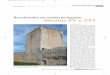 Revestimentos em castelos portugueses Séculos XV e XVI 05.pdfinterior das muralhas e torres de al-guns castelos, em determinado mo-mento da sua história, escondendo por isso a sua