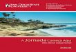 American Language Institute (ALI) Brochure in Portuguese Moradia e Vida Estudantil SDSU | AMERICAN LANGUAGE