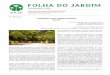 FOLHA DO JARDIM · 2019-11-14 · AAJB · Folha do Jardim Novembro, 2019 Floração Pereskia grandifolia - ora pro-nobis, planta que matava a fome dos pelos escravos, é o destaque