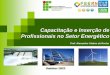 Capacitação e Inserção de Profissionais no Setor Energéticofeern.herokuapp.com/PDF/Painel 5/2 - Alexandro Rocha - IFRN (II FEE… · Mercado de Trabalho; Servidores IFRN . Estudantes