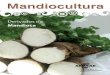 MANDIOCULTURA - OIT/Cinterfor · Figura 8. Beiju, outro delicioso produto da mandioca. Figura 9. O pãozinho de queijo, também é outro delicioso produto da mandioca. Figura 10