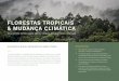 FLORESTAS TROPICAIS & MUDANÇA CLIMÁTICA · As florestas regulam o nosso clima absorvendo e armazenando dióxido de carbono da atmosfera, onde, de outra forma, contribuiria para