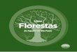 Livro Florestas · O Brasil é um país privilegiado nesse aspecto: possuimos a maior bio-diversidade terrestre do planeta em nossas florestas. Conheça algumas delas: A Amazônia