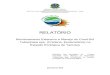 SERVIÇO PÚBLICO FEDERAL MINISTÉRIO DO MEIO AMBIENTE … · 2019-01-11 · 2 SUMÁRIO I. INTRODUÇÃO 