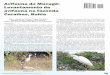 Avifauna de Mucugê: Levantamento de avifauna na fazenda ... · e natural principalmente em função do Parque Nacional da Chapada Diamantina, criado em 1984 com 152 mil hectares,
