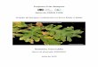 Projecto criar Bosques - ões-Green-Cork-2009_10_Criar-Bos · PDF file A Quercus – A.N.C.N. apresentou, no início de 2008, o projecto “Criar Bosques” às entidades públicas