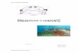 · PDF file

Projecto Curricular do Agrupamento Vertical de Escolas Bento Carqueja 1. Introdução