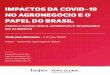 IMPACTOS DA COVID-19 NO AGRONEGÓCIO E O …...3 Impactos da COVID-19 nos sistemas agroalimentares e o papel do Brasil O transporte, manuseio e preparo da caça para venda, em condições