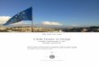 A União Europeia em Portugal · A União Europeia em Portugal Limitações comunicacionais de uma instituição representativa Relatório de Estágio no âmbito do Mestrado em Comunicação