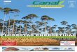 FLORESTAS ENERGÉTICAS - Canal Bioenergia · de Cana do Programa Cana (IAC), em Ribeirão Preto (SP) em 2002, coordenando o processo de criação de 22 novas cultivares de cana-de-açúcar