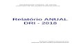 Relatório ANUAL DRI - 2018 · 2019-03-18 · Relatório ANUAL DRI - 2018 Professor Vladimir Oliveira Di Iorio DIRETOR DE RELAÇÕES INTERNACIONAIS. República Federativa do Brasil