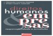 Manoela Carneiro Roland E humanos direitos sobre direitos ... · Jéssyka Maria Nunes Galvão 12. Responsabilidade social dos investido-res: uma análise da eficácia das cláusulas