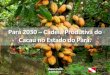 Pará 2030 Cadeia Produtiva do Cacau no Estado do Pará. · PARÁ 2030 - CACAU • O Pará tem potencial de ser um produtor de cacau diferenciado, não só por suas propriedades físico-químicas