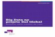 Big Data no projeto Sul Global - ITS Rio · agentes globais com características similares no mundo inteiro, também devem ser consideradas algumas questões particulares. Os países