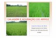 CALAGEM E ADUBAÇÃO DO ARROZ - UFSMw3.ufsm.br/solos/antigo/PDF/fertilidade do solo... · Distribuição do arroz irrigado por inundação no Brasil ... -Doenças Solo-Nutrientes-Toxidez