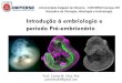 Introdução à embriologia e período Pré-embrionário€¦ · Disciplina de Citologia, Histologia e Embriologia Introdução à embriologia e período Pré-embrionário. Embriologia