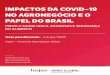 IMPACTOS DA COVID-19 NO AGRONEGÓCIO E O PAPEL DO BRASIL · 6 Impactos da COVID-19 nos sistemas agroalimentares e o papel do Brasil mesmos e das possíveis soluções [8,9,10]. A