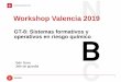 Workshop Valencia 2019 - Consorci Provincial de Bombers de ... · GT-8: Sistemas formativos y operativos en riesgo químico Propuesta formativa: Estudio de detalle de los 10-12 productos
