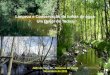 Limpeza e Conservação de linhas de água Um Dever de Todos€¦ · Foto: Fernando Gonçalves Importância dos Sistemas fluviais . ... •Protecção das margens contra a erosão