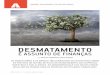 DESMATAMENTO - FGV · Desmatamento na Amazônia Legal por Satélite (PRODES), produzidos pelo Instituto Nacional de Pesquisas Espaciais (INPE). Exemplos de ferramentas de acesso gratuito
