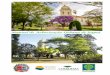Manual de Arborização Urbana de Itapuí · LEI MUNICIPAL DE ARBORIZAÇÃO URBANA Lei Municipal Complementar nº 228, de 29 de março de 2019 ABNT NBR 16246-1:2013 - Florestas urbanas