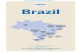 Brazil 10 - Contents (Chapter) - Lonely Planet...gles of the Amazon and the biodiversity of the Pantanal, with beaches, tropical islands and historic towns thrown into the mix. From