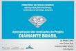 SUMÁRIO - rigeo.cprm.gov.brrigeo.cprm.gov.br/jspui/bitstream/doc/17626/3/evento_diamante_bra… · SUMÁRIO - Objetivos - Área de Atuação - Métodos Empregados - Resultados Obtidos