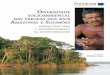 nas e Solimões: Perspectivas para o Desenvolvimento da ... · cional da Amazônia. Só nos anos 60 do século XX surgiria um outro proces-so ocupacional que criou a Amazônia da
