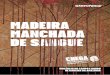 MADEIRA MANCHAD A DE SANGUE - Greenpeace Brasil · 2018-07-23 · de madeira na região .4 O massacre de Colniza foi notícia no Brasil e no exterior, mesmo assim, o acusado de ser