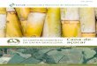 OBSERVATÓRIO AGRÍCOLA Cana-de- DA SAFRA BRASILEIRA …DA SAFRA BRASILEIRA V.3 - SAFRA 2016/17 - N.4 - Quarto levantamento | ABRIL 2017 OBSERVATÓRIO AGRÍCOLA Monitoramento agrícola