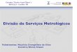 Divisão de Serviços Metrológicosinmetro.gov.br/portalrbmlq/documentos_disponiveis... · Encontro Técnico Anual Dimel e RBMLQ-I -Curitiba -PR Indicadores de Minas Gerais Companhia