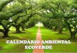 CALENDÁRIO AMBIENTAL ECOVERDE · do Meio Ambiente 12 – Dia do Engenheiro Florestal 17 – Dia de Proteção às Florestas 26 – Dia Mundial de Proteção aos Manguezais. AGOSTO