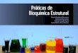 Práticas de Bioquímica Estrutural · Especialista em Reprodução Humana Assistida pela Associação Instituto Sapientiae Capa e Design: Renato Massaharu Hassunuma CIP – Brasil