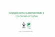 Educação para a sustentabilidade e Eco-Escolas em Lisboa · Constelação Artístico-Educativa “Mil Pássaros” Alertar para a necessidade de cuidar do Planeta Formação para