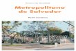 Perfil Metropolitano de Salvador - Bahia · O Território de Identidade Metropolitano de Salvador tem 1,7 mil estabelecimentos agropecuários com Agricultura Familiar, segundo o Censo