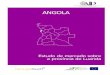 Mensagem do Presidente da Associação Industrial Portuguesa ...portugalcolombia.com/media/EstudodeMercado_AIP_Luanda.pdf · ensino, foi envidado um esforço no sentido da redução
