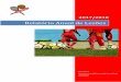 Relatório Anual de Lesões... · 2019-06-08 · Relatório Anual de Lesões Leixões Sport Club Página 6 Incidência de Lesão: 0.06 (Episódios de Lesão/Nº de episódio de exposição)