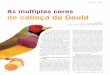 69º Campeonato Brasileiro de Ornitologia Amadora · estão presentes todas as três variantes de cor de cabeça do diamante de Gould, com a frequência de distribuiçäo que segue