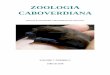 ZOOLOGIA CABOVERDIANA - SCVZ Caboverdiana Vol. 7 No... · Raquel Vasconcelos, PhD (CIBIO-InBIO, University of Porto, Portugal raquel.vasconcelos@cibio.up.pt Comité Editorial | Editorial