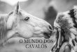 O MUNDO DOS CAVALOS - CRMV-PEcrmvpe.org.br/wp-content/uploads/2018/09/O-MUNDO... · Uma das mais antigas raças de cavalo, descendente do cavalo Espanhol, e figura entre os mais influentes