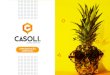 Apresentação Comercial - Marketing - Casoli 2020 · O marketing digital nos permite avaliar passo a passo o escopo das ações executadas, bem como a resposta obtida pelos usuários