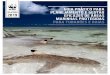 GUIA PRÁTICO PARA PLANEJAMENTO E GESTÃO 2019 … · 2019 relatÓrio guia prÁtico para planejamento e gestÃo eficazes de Áreas marinhas protegidas para tubarÕes e raias