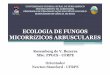 ECOLOGIA DE FUNGOS MICORRíZICOS ARBUSCULARES · 2009-09-25 · ecologia de fungos micorrízicos arbusculares universidade federal rural de pernambuco departamento de agronomia programa